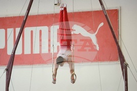 Държавно лично-отборно първенство по спортна гимнастика