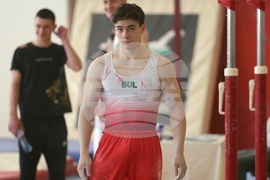 Държавно лично-отборно първенство по спортна гимнастика