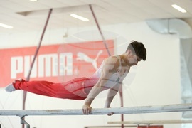 Държавно лично-отборно първенство по спортна гимнастика