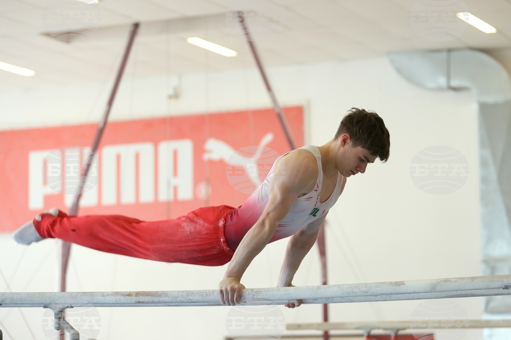 Държавно лично-отборно първенство по спортна гимнастика