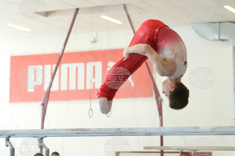 Държавно лично-отборно първенство по спортна гимнастика