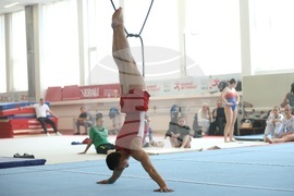 Държавно лично-отборно първенство по спортна гимнастика