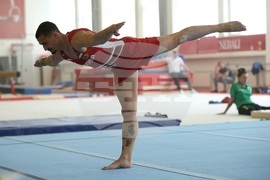 Държавно лично-отборно първенство по спортна гимнастика