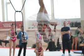 Държавно лично-отборно първенство по спортна гимнастика