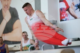 Държавно лично-отборно първенство по спортна гимнастика