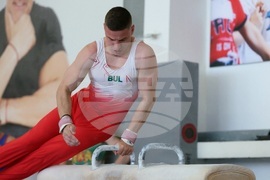 Държавно лично-отборно първенство по спортна гимнастика