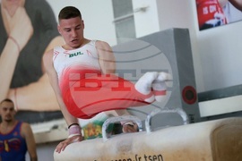 Държавно лично-отборно първенство по спортна гимнастика