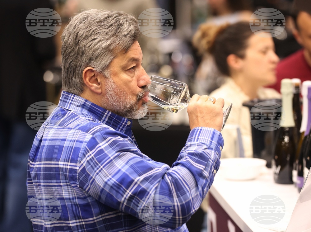 Discover Vino 2026 - изложение