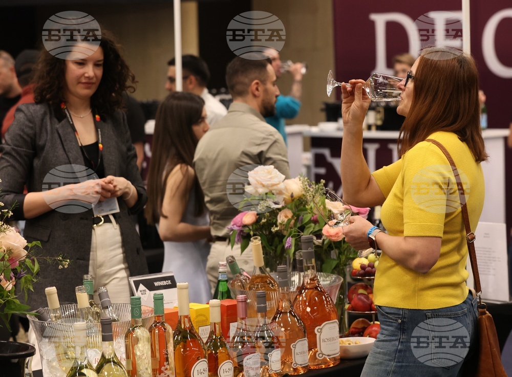 Discover Vino 2026 - изложение