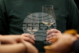 Discover Vino 2026 - изложение