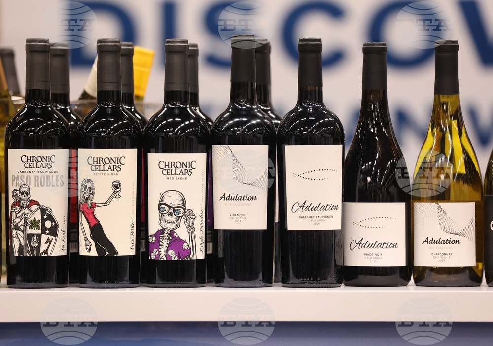 Discover Vino 2026 - изложение