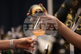 Discover Vino 2026 - изложение