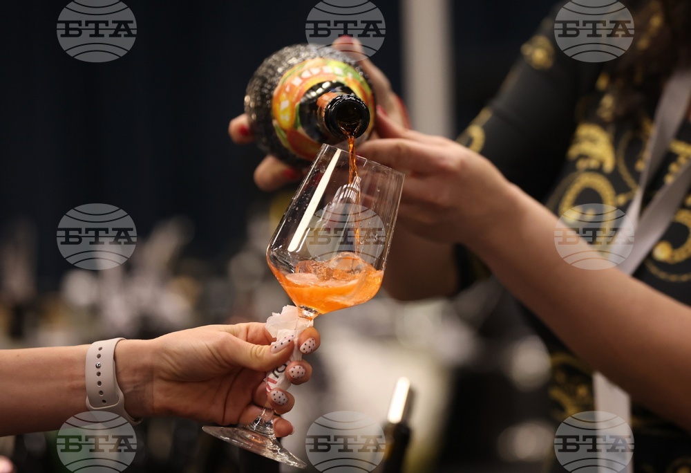 Discover Vino 2026 - изложение