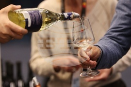 Discover Vino 2026 - изложение