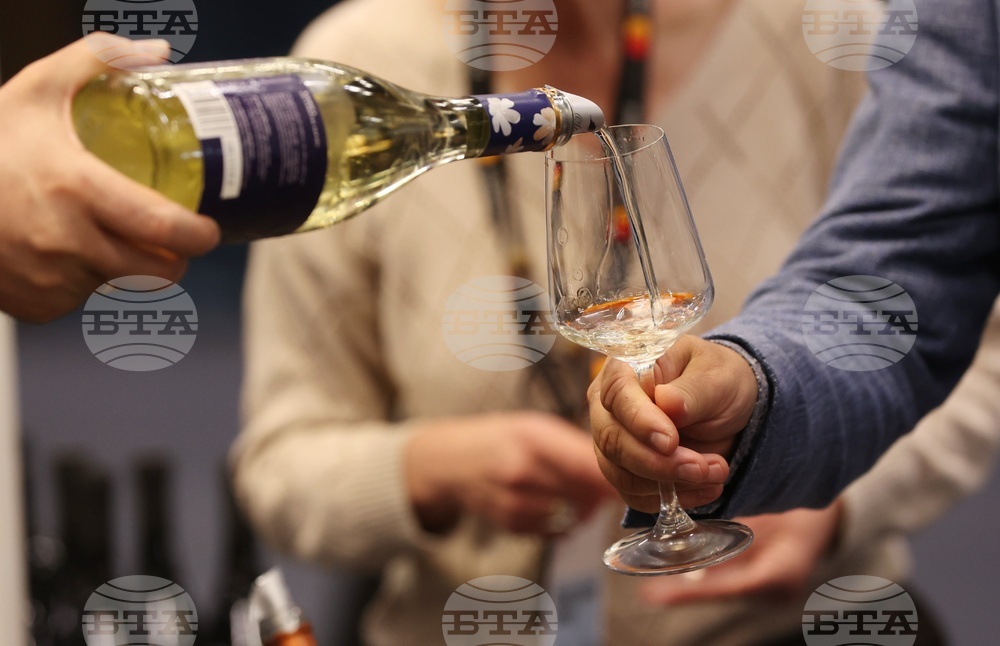 Discover Vino 2026 - изложение