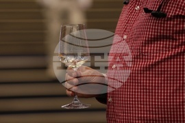 Discover Vino 2026 - изложение