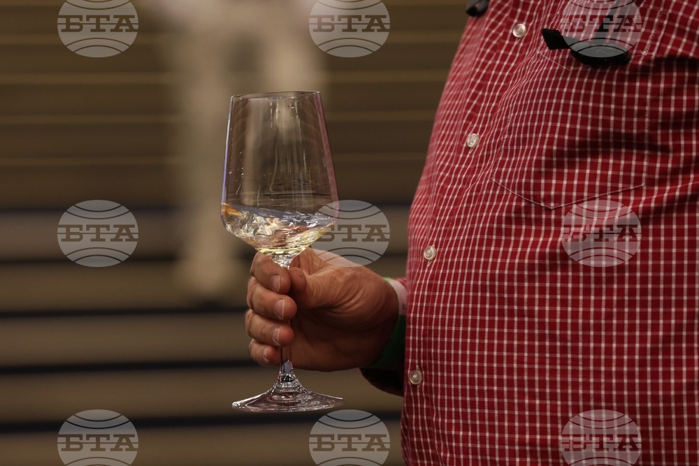 Discover Vino 2026 - изложение