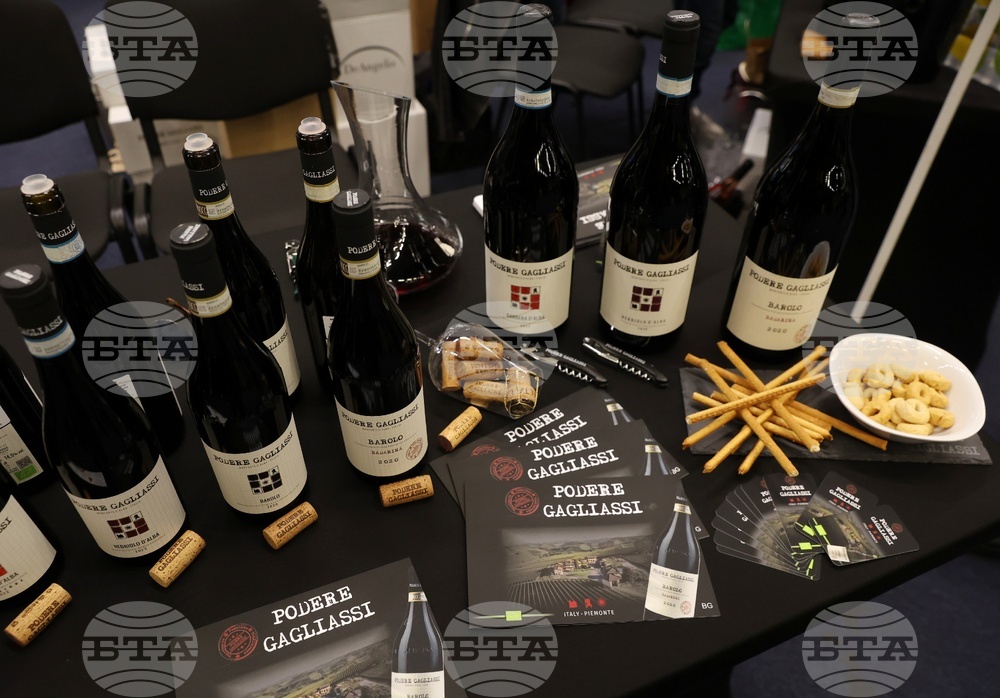 Discover Vino 2026 - изложение