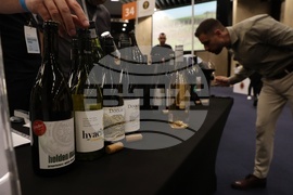 Discover Vino 2026 - изложение