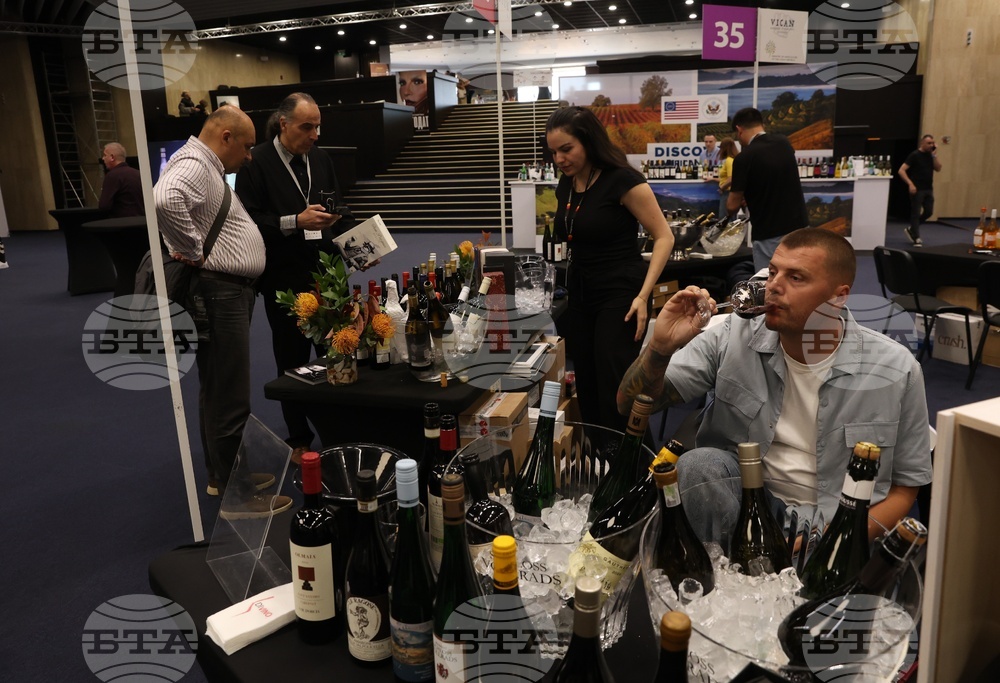 Discover Vino 2026 - изложение