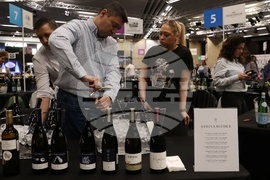 Discover Vino 2026 - изложение