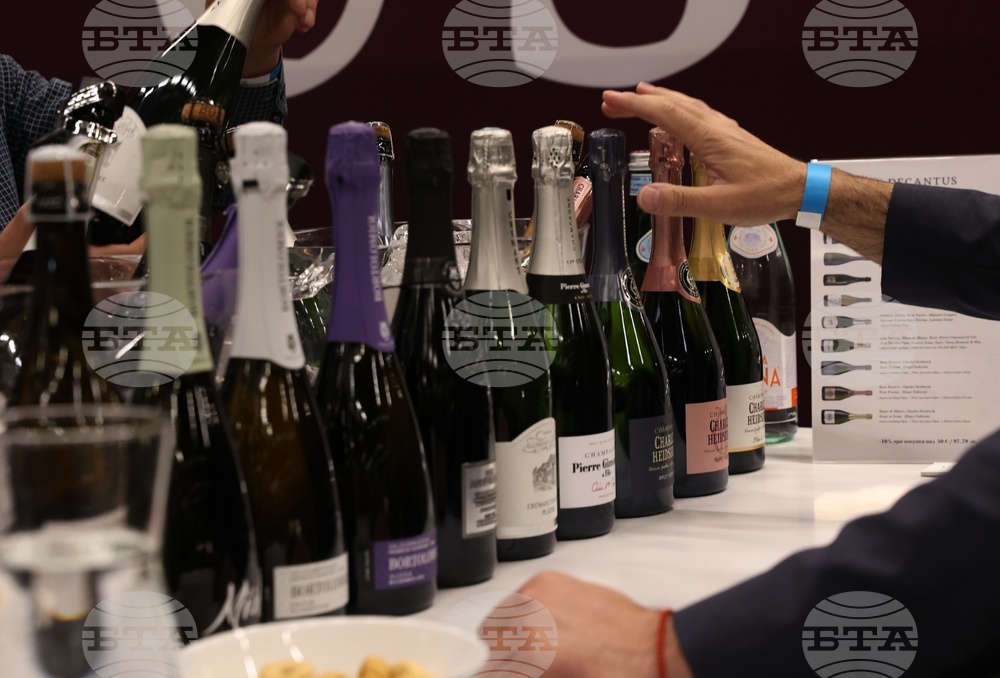 Discover Vino 2026 - изложение