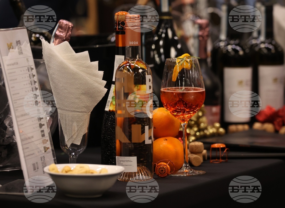 Discover Vino 2026 - изложение