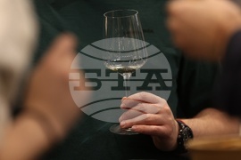 Discover Vino 2026 - изложение