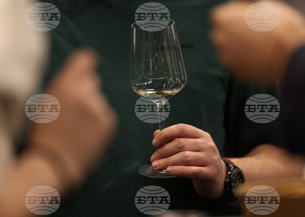 Discover Vino 2026 - изложение