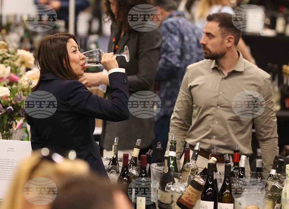 Discover Vino 2026 - изложение