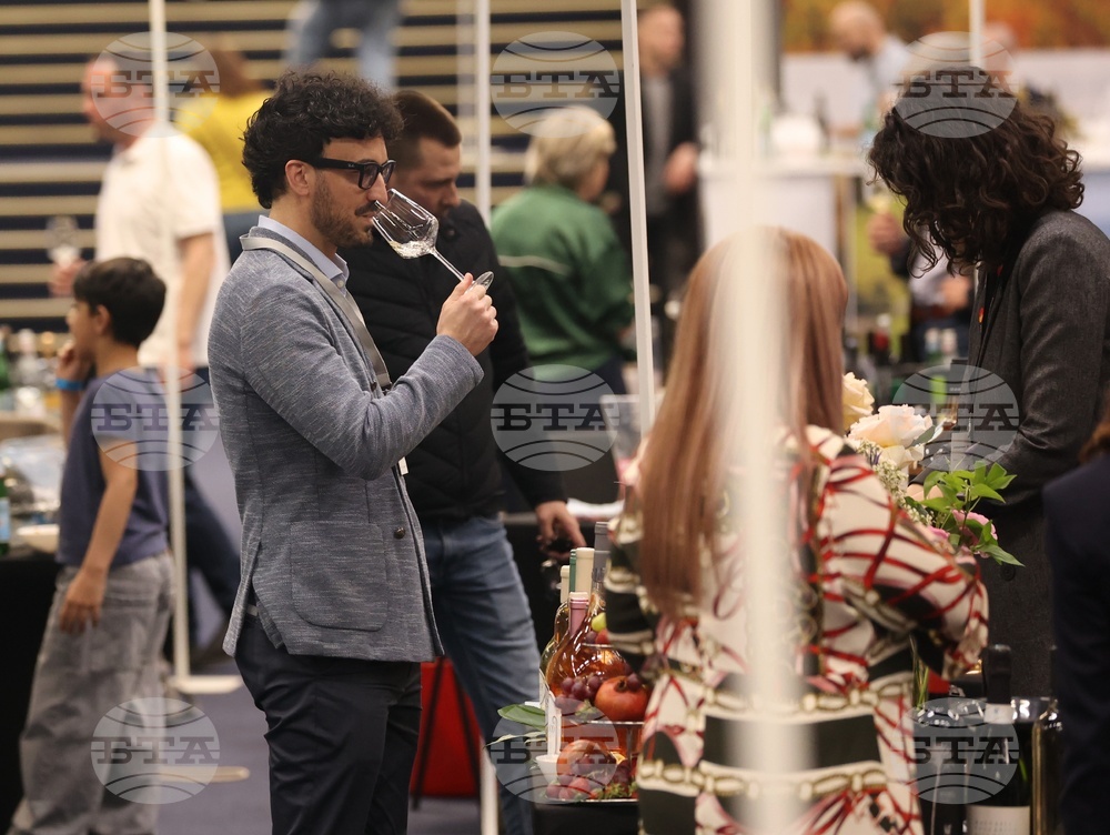 Discover Vino 2026 - изложение