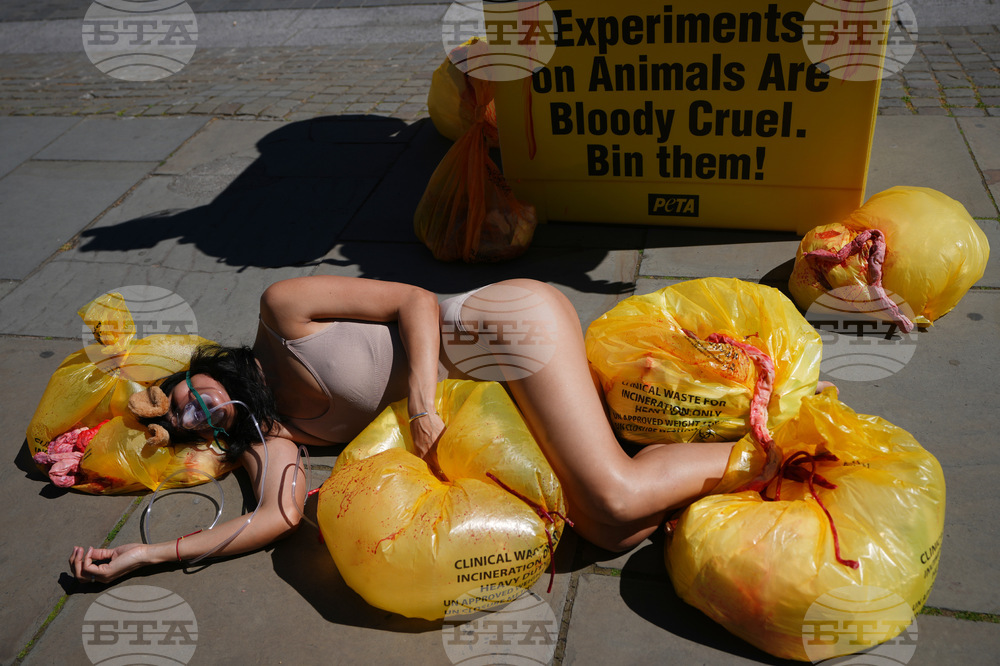 Britain Protest