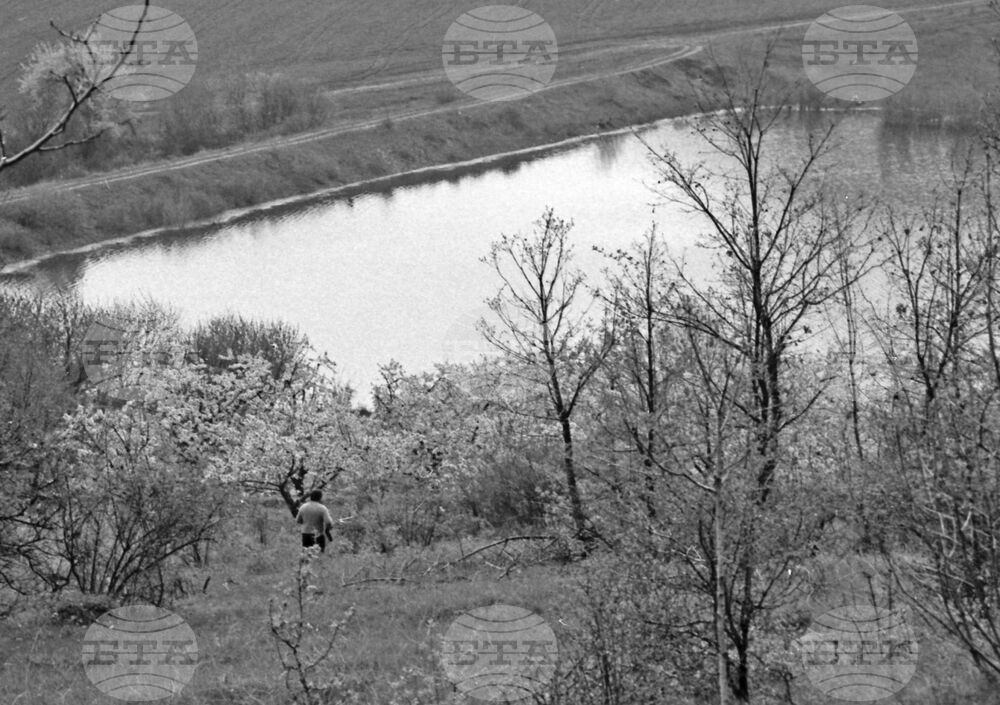 Село Дамяново - цъфнали вишни и череши - етюд