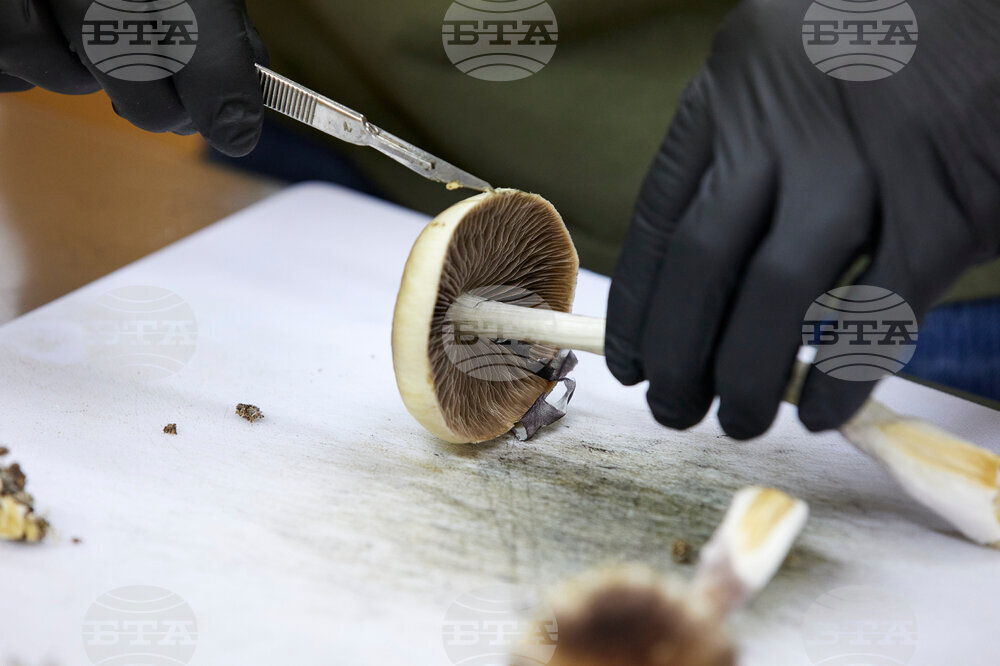 Psychedelics-FDA