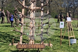 Разград - Държавно ловно стопанство „Воден - Ири Хисар“ - изложение на рога