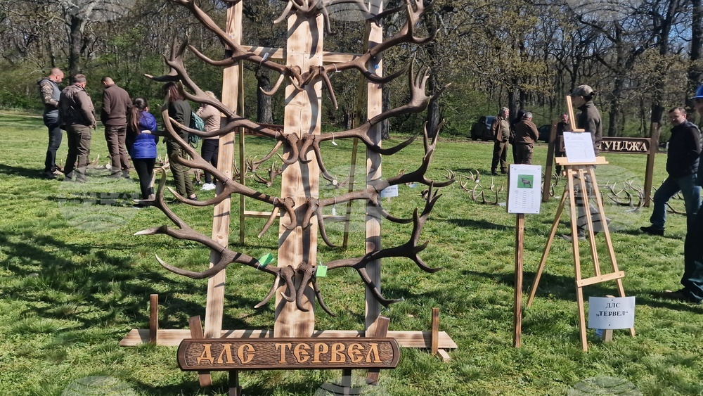 Разград - Държавно ловно стопанство „Воден - Ири Хисар“ - изложение на рога