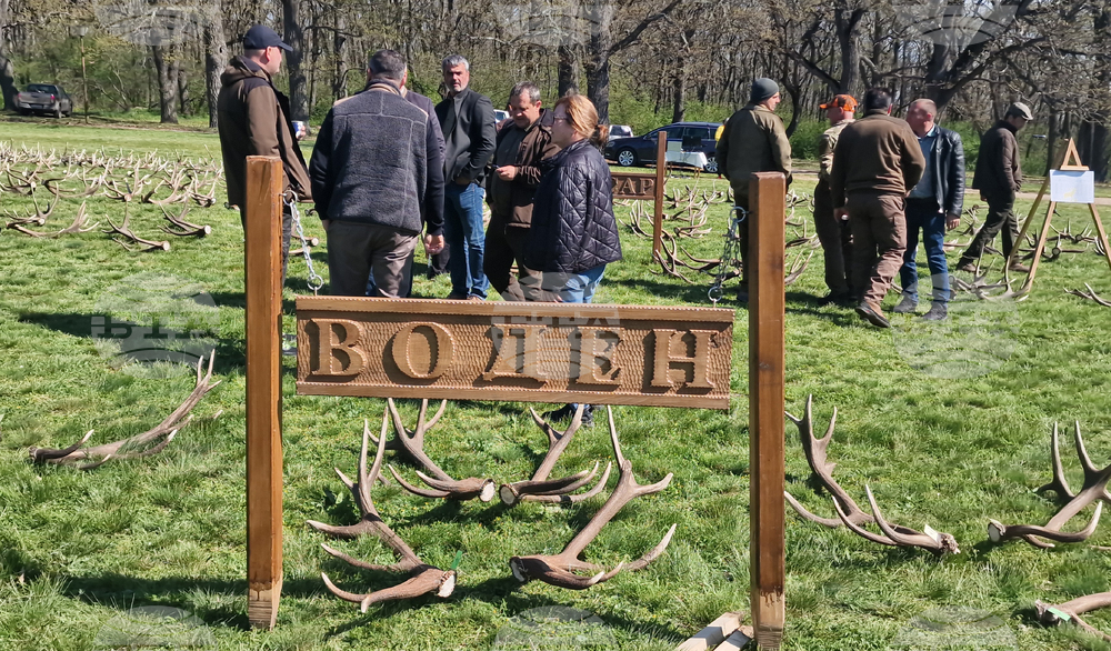 Разград - Държавно ловно стопанство „Воден - Ири Хисар“ - изложение на рога