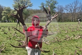 Разград - Държавно ловно стопанство „Воден - Ири Хисар“ - изложение на рога