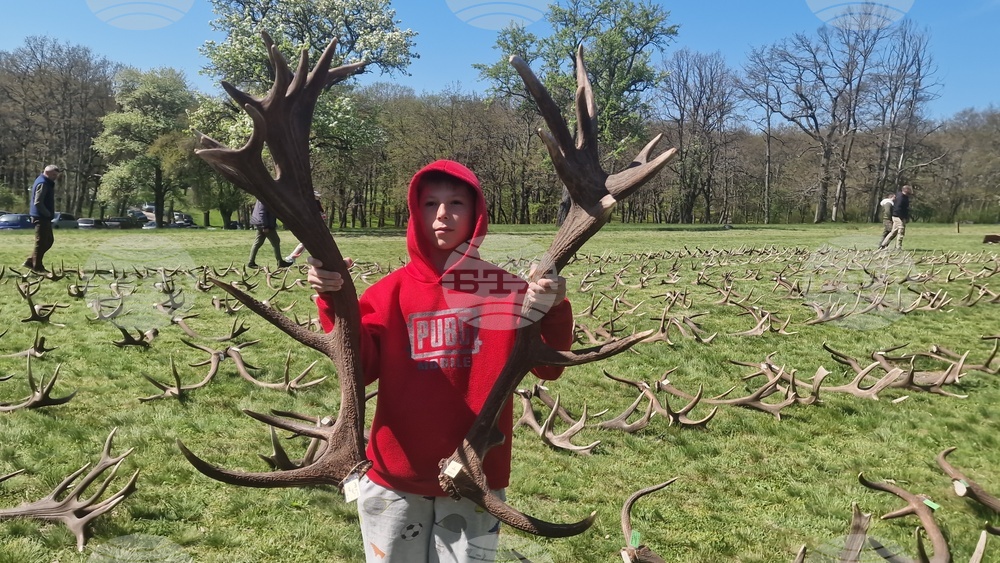 Разград - Държавно ловно стопанство „Воден - Ири Хисар“ - изложение на рога