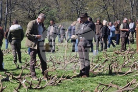 Разград - Държавно ловно стопанство „Воден - Ири Хисар“ - изложение на рога