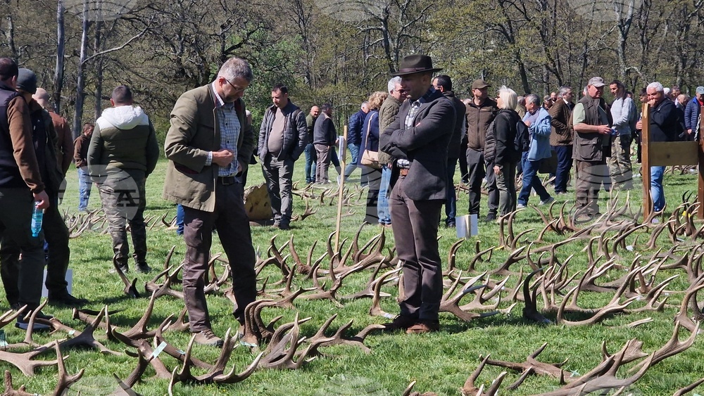 Разград - Държавно ловно стопанство „Воден - Ири Хисар“ - изложение на рога