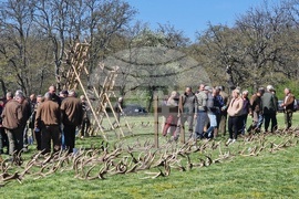 Разград - Държавно ловно стопанство „Воден - Ири Хисар“ - изложение на рога