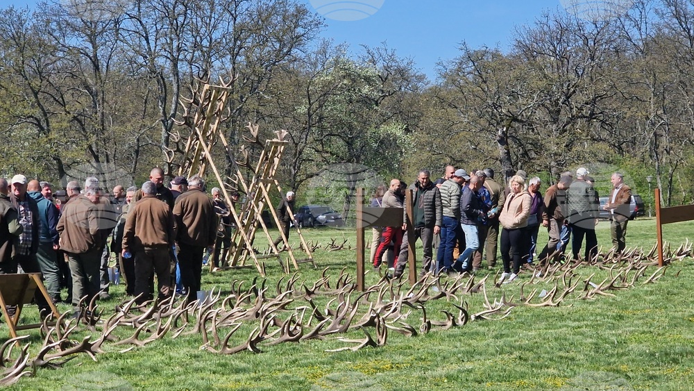 Разград - Държавно ловно стопанство „Воден - Ири Хисар“ - изложение на рога
