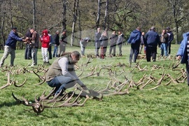 Разград - Държавно ловно стопанство „Воден - Ири Хисар“ - изложение на рога