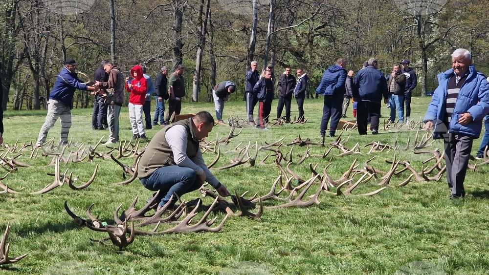 Разград - Държавно ловно стопанство „Воден - Ири Хисар“ - изложение на рога