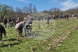 Разград - Държавно ловно стопанство „Воден - Ири Хисар“ - изложение на рога