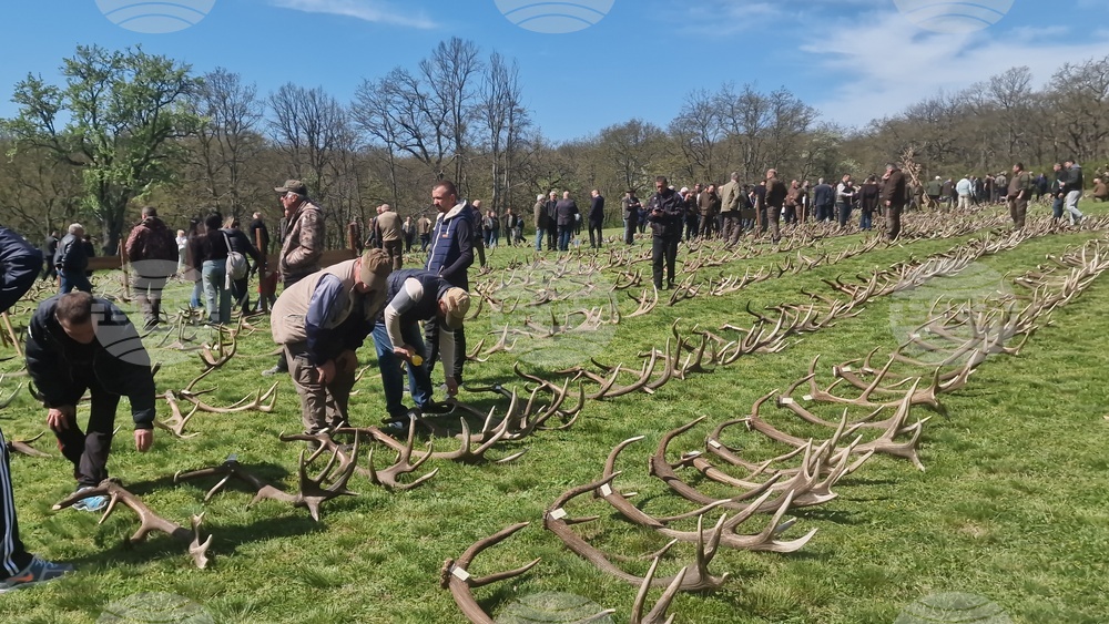Разград - Държавно ловно стопанство „Воден - Ири Хисар“ - изложение на рога