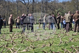 Разград - Държавно ловно стопанство „Воден - Ири Хисар“ - изложение на рога