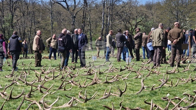 Трофеи от 16 ловно-стопански района от Северна и Южна България бяха представени на изложение за паднали рога в ДЛС „Воден - Ири ХИсар“