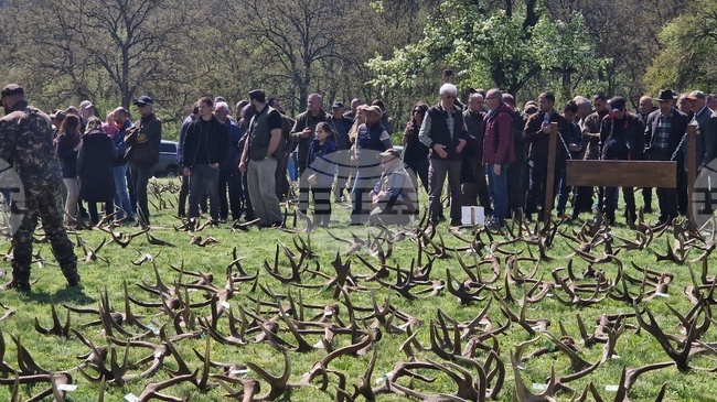 Разград - Държавно ловно стопанство „Воден - Ири Хисар“ - изложение на рога